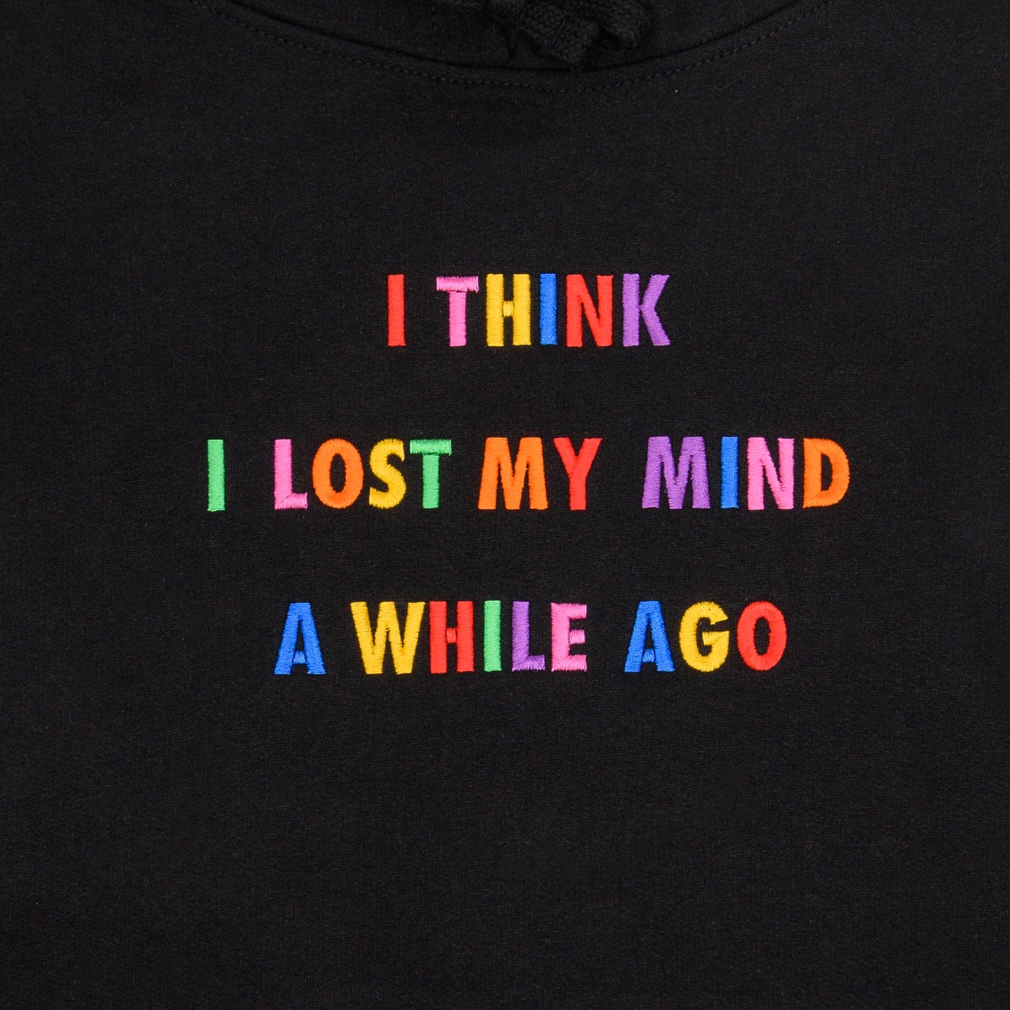 I Think I Lost My Mind Hoodie – Prolific